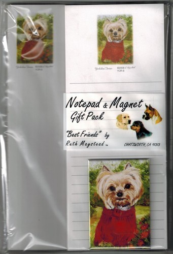 New puppy yorkshire terrier - new,