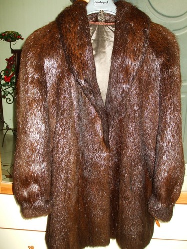 Pelliccia castoro - ,
