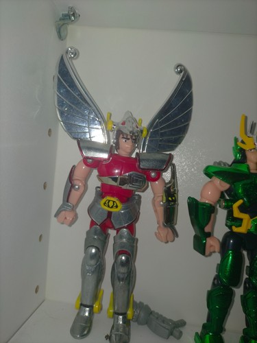 Pegasus cavalieri dello