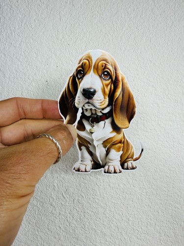 Adesivo basset hound - adesivo,