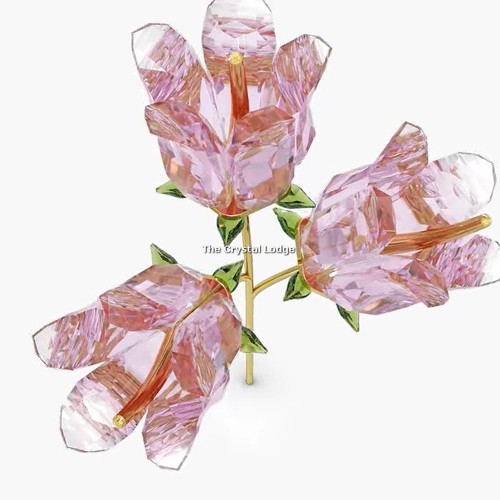 Swarovski crystal racconti - swarovski,