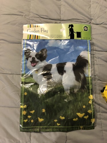 Panda chihuahua cane - panda,