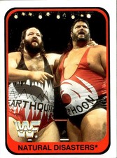 card wwf wrestling merlin 1991