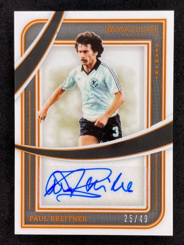 Panini 2024 immacolata - 2024-25,