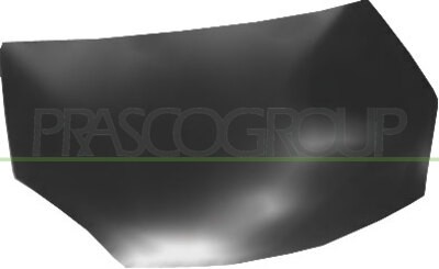 6001551350 cofano ant - 6001551350, ant.