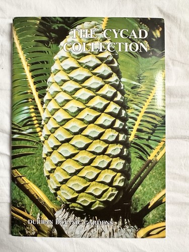 Cycad collection the durban - cycad,