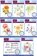 Sheena Douglass - Acquerello