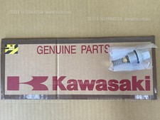 KAWASAKI JET SKI ULTRA 310LX