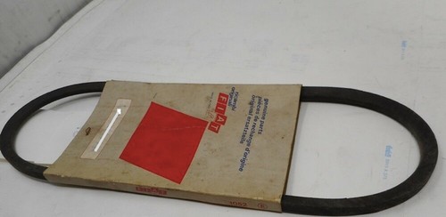 Cinghia trasmissione fiat - cinghia,