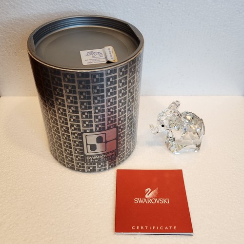 Swarovski argento cristallo