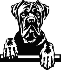 Adesivo CANE CORSO - adesivo