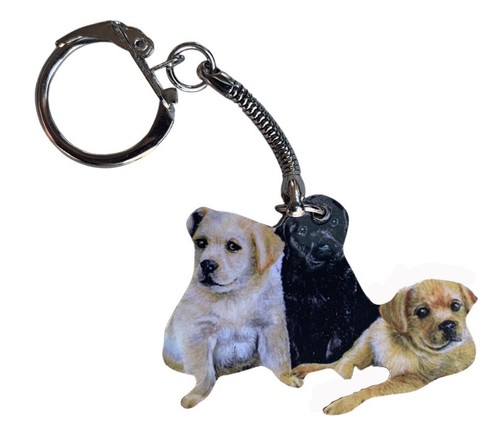 Labrador puppy key ring - key,