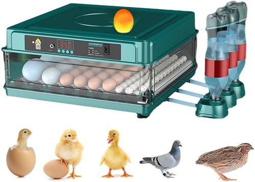 Incubatrice automatica per