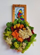 Regalo fai da te con piante