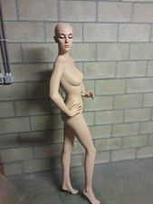 Manichino Kyoya Japan - Manichino