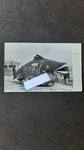 Foto cartolina pontenure - cartolina,
