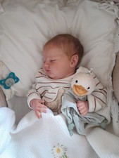 Bambola Reborn Quinlyn by