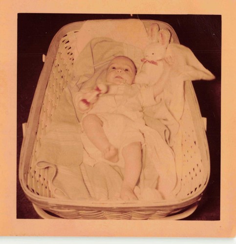 Foto vintage 1953 kodacolor - vintage,