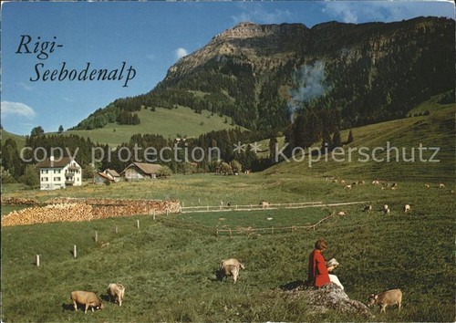 Rigi seebodenalp vista - rigi-seebodenalp,