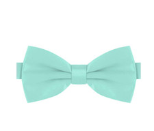 PAPILLON CELESTE FARFALLA SETA