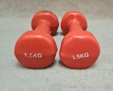 Coppia di manubri da 1,5 kg 2 x 1,5 kg usati 