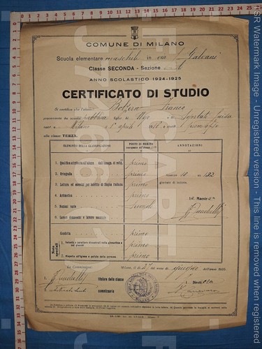 J7466 pagella 1925 - j7466,