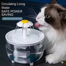 Fontanella Gatto Automatica