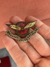 Spilla da bavero distintivo