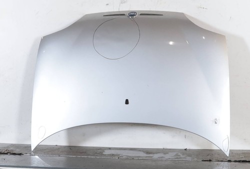 Cofano anteriore 46511948 - anteriore, fiat