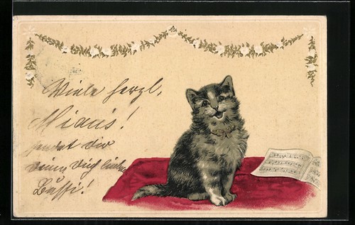 Cartolina rilievo gatto - in,