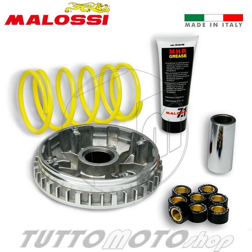 Variatore malossi multivar - malossi,