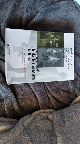 Libro letteratura italiana - libro,