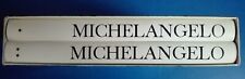 MICHELANGELO artista pensatore scrittore De Agostini 2 volumi di prestigio arte