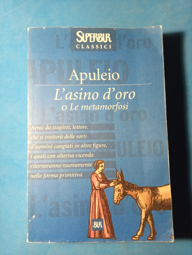 Asino oro le metamorfosi - d'oro,