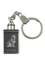 Pyrenean Hound, Pastore Dei
