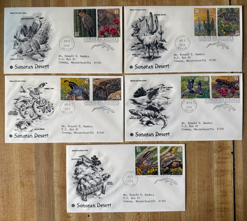 Sonoran desert first day cover - desert,