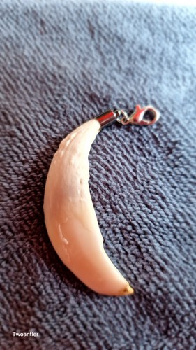 Ciondolo dente - dente, di