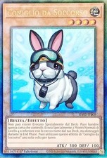 Coniglio da Soccorso - Rara