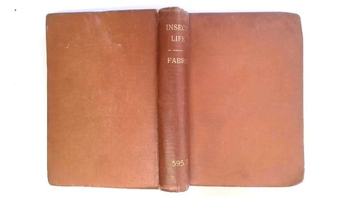 Insect life souvenirs a - life.,