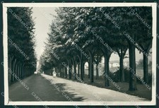 Pavia Mede Viale dei Mille
