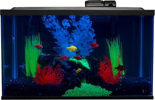 Kit serbatoio pesci acquario - kit,