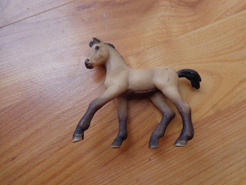 Figura cavallo puledro - figura, di