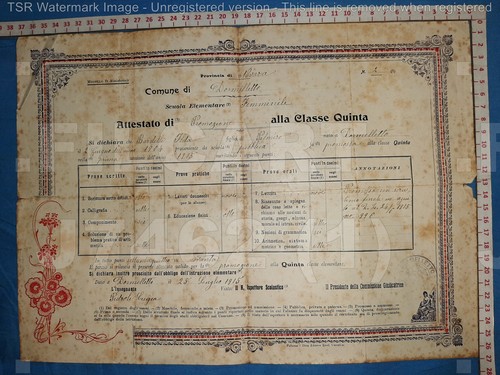 J7462 pagella 1915 - j7462,