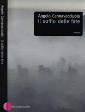 Il soffio delle fate. . Angelo