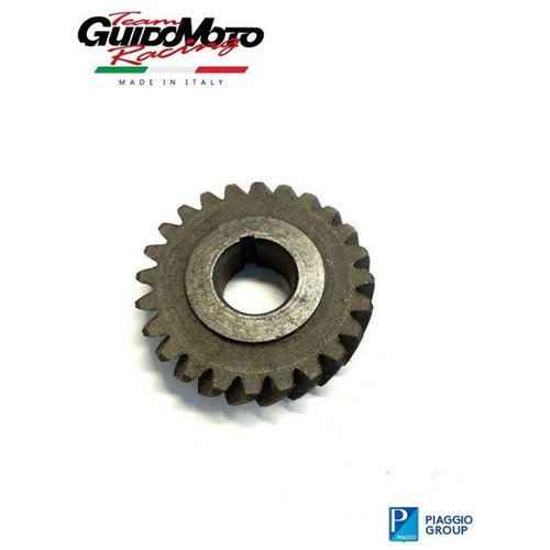 Pignone campana z24 - campana,