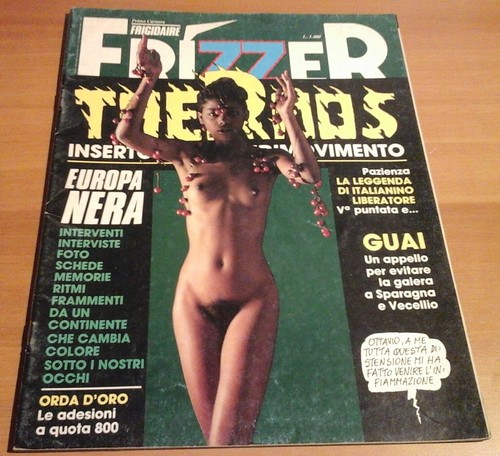 Frizzer 11 inserto - frizzer, n.10-11