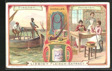 Immagine collezione liebig - da,