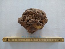 Limonite minerale grezzo - |,