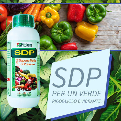 Sdp concdime sapone molle - sapone,