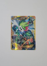 Collezione Allenatore Premium